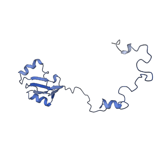 14978_7zuw_BZ_v1-1
Structure of RQT (C1) bound to the stalled ribosome in a disome unit from S. cerevisiae