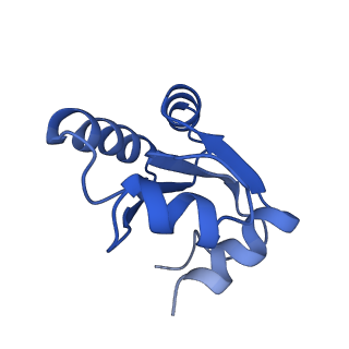 14978_7zuw_Bb_v1-1
Structure of RQT (C1) bound to the stalled ribosome in a disome unit from S. cerevisiae