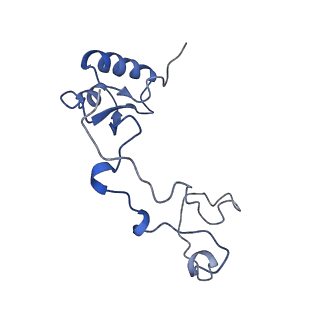 14978_7zuw_Bd_v1-1
Structure of RQT (C1) bound to the stalled ribosome in a disome unit from S. cerevisiae
