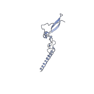 14978_7zuw_Bf_v1-1
Structure of RQT (C1) bound to the stalled ribosome in a disome unit from S. cerevisiae