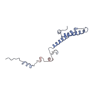 14978_7zuw_Bg_v1-1
Structure of RQT (C1) bound to the stalled ribosome in a disome unit from S. cerevisiae