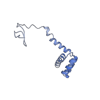 14978_7zuw_Bh_v1-1
Structure of RQT (C1) bound to the stalled ribosome in a disome unit from S. cerevisiae