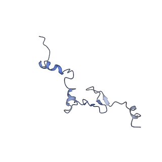 14978_7zuw_Bi_v1-1
Structure of RQT (C1) bound to the stalled ribosome in a disome unit from S. cerevisiae