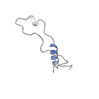 14978_7zuw_Bk_v1-1
Structure of RQT (C1) bound to the stalled ribosome in a disome unit from S. cerevisiae
