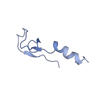 14978_7zuw_Bl_v1-1
Structure of RQT (C1) bound to the stalled ribosome in a disome unit from S. cerevisiae