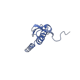 14978_7zuw_Bo_v1-1
Structure of RQT (C1) bound to the stalled ribosome in a disome unit from S. cerevisiae