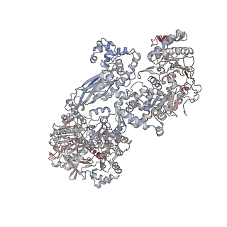 14978_7zuw_CA_v1-1
Structure of RQT (C1) bound to the stalled ribosome in a disome unit from S. cerevisiae