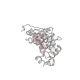 14978_7zuw_CB_v1-1
Structure of RQT (C1) bound to the stalled ribosome in a disome unit from S. cerevisiae