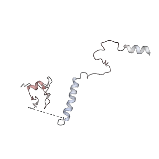 14978_7zuw_CC_v1-1
Structure of RQT (C1) bound to the stalled ribosome in a disome unit from S. cerevisiae