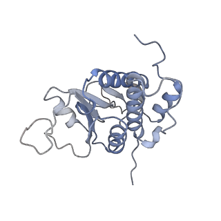 14979_7zux_DA_v1-1
Collided ribosome in a disome unit from S. cerevisiae