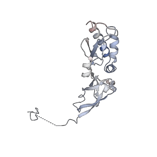 14979_7zux_DB_v1-1
Collided ribosome in a disome unit from S. cerevisiae