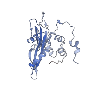 14979_7zux_DC_v1-1
Collided ribosome in a disome unit from S. cerevisiae