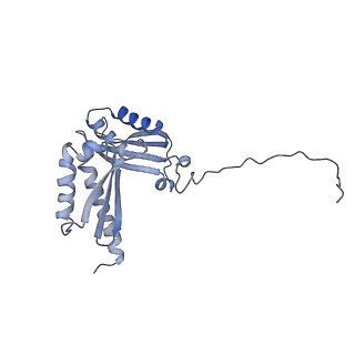 14979_7zux_DD_v1-1
Collided ribosome in a disome unit from S. cerevisiae