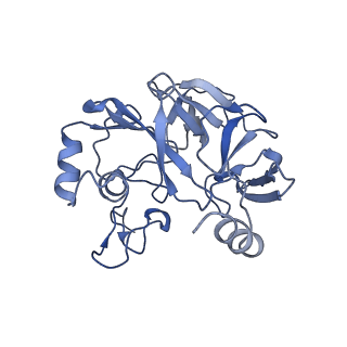 14979_7zux_DE_v1-1
Collided ribosome in a disome unit from S. cerevisiae