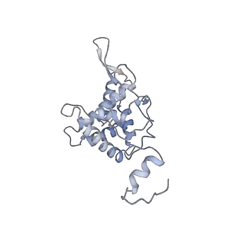 14979_7zux_DF_v1-1
Collided ribosome in a disome unit from S. cerevisiae