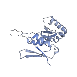 14979_7zux_DH_v1-1
Collided ribosome in a disome unit from S. cerevisiae