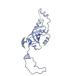 14979_7zux_DI_v1-1
Collided ribosome in a disome unit from S. cerevisiae