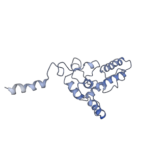 14979_7zux_DJ_v1-1
Collided ribosome in a disome unit from S. cerevisiae