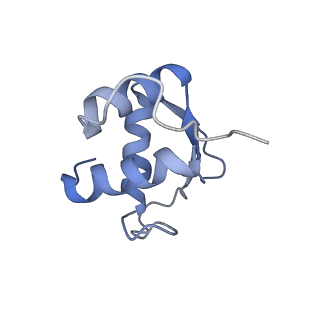 14979_7zux_DK_v1-1
Collided ribosome in a disome unit from S. cerevisiae