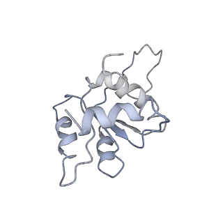 14979_7zux_DM_v1-1
Collided ribosome in a disome unit from S. cerevisiae