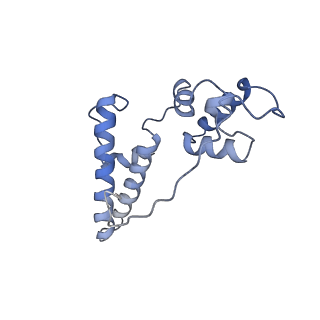 14979_7zux_DN_v1-1
Collided ribosome in a disome unit from S. cerevisiae