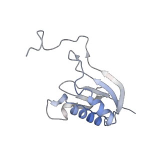 14979_7zux_DO_v1-1
Collided ribosome in a disome unit from S. cerevisiae