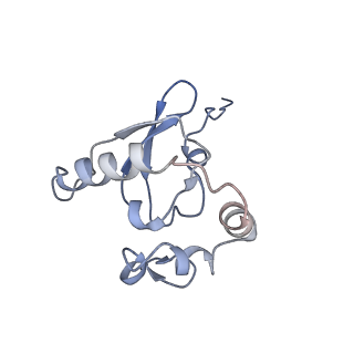 14979_7zux_DP_v1-1
Collided ribosome in a disome unit from S. cerevisiae