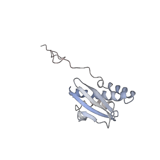 14979_7zux_DQ_v1-1
Collided ribosome in a disome unit from S. cerevisiae
