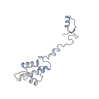 14979_7zux_DR_v1-1
Collided ribosome in a disome unit from S. cerevisiae