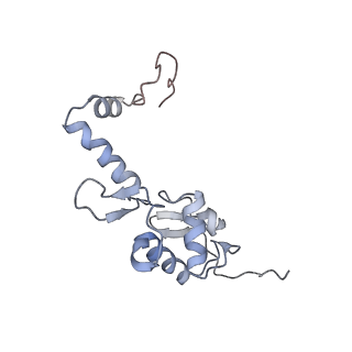 14979_7zux_DS_v1-1
Collided ribosome in a disome unit from S. cerevisiae