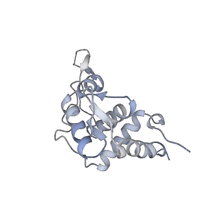 14979_7zux_DT_v1-1
Collided ribosome in a disome unit from S. cerevisiae