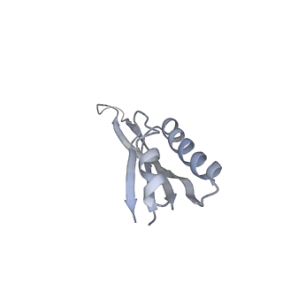14979_7zux_DU_v1-1
Collided ribosome in a disome unit from S. cerevisiae