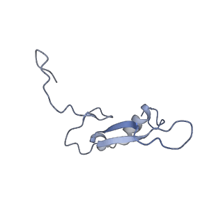14979_7zux_DV_v1-1
Collided ribosome in a disome unit from S. cerevisiae