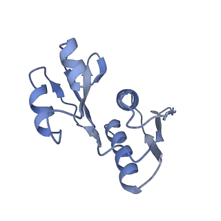 14979_7zux_DW_v1-1
Collided ribosome in a disome unit from S. cerevisiae