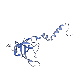 14979_7zux_DX_v1-1
Collided ribosome in a disome unit from S. cerevisiae