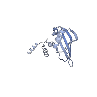14979_7zux_DY_v1-1
Collided ribosome in a disome unit from S. cerevisiae
