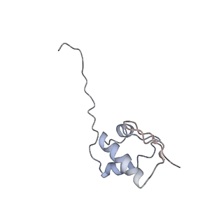 14979_7zux_DZ_v1-1
Collided ribosome in a disome unit from S. cerevisiae