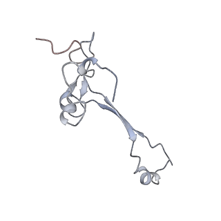 14979_7zux_Da_v1-1
Collided ribosome in a disome unit from S. cerevisiae