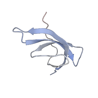 14979_7zux_Dc_v1-1
Collided ribosome in a disome unit from S. cerevisiae