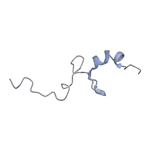 14979_7zux_Dd_v1-1
Collided ribosome in a disome unit from S. cerevisiae