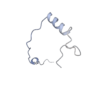 14979_7zux_De_v1-1
Collided ribosome in a disome unit from S. cerevisiae