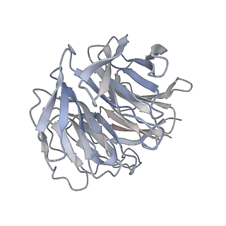 14979_7zux_Dg_v1-1
Collided ribosome in a disome unit from S. cerevisiae