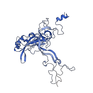 14979_7zux_EB_v1-1
Collided ribosome in a disome unit from S. cerevisiae