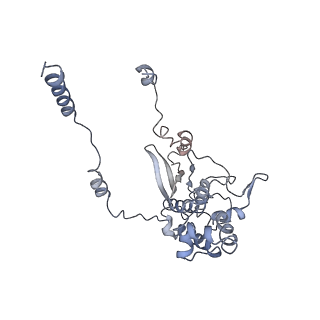 14979_7zux_ED_v1-1
Collided ribosome in a disome unit from S. cerevisiae