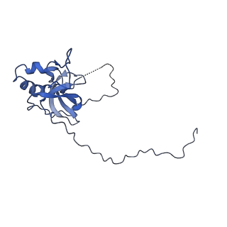 14979_7zux_EE_v1-1
Collided ribosome in a disome unit from S. cerevisiae