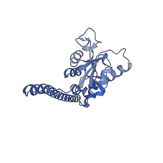 14979_7zux_EF_v1-1
Collided ribosome in a disome unit from S. cerevisiae