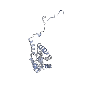 14979_7zux_EG_v1-1
Collided ribosome in a disome unit from S. cerevisiae