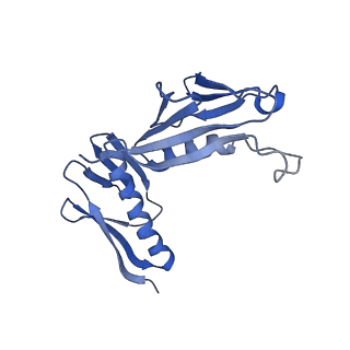 14979_7zux_EH_v1-1
Collided ribosome in a disome unit from S. cerevisiae