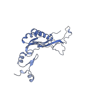 14979_7zux_EI_v1-1
Collided ribosome in a disome unit from S. cerevisiae