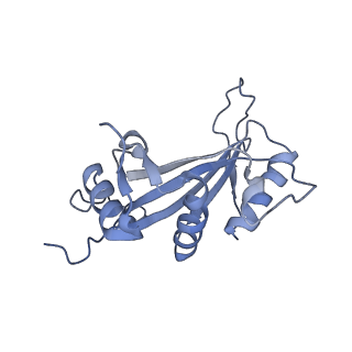 14979_7zux_EJ_v1-1
Collided ribosome in a disome unit from S. cerevisiae